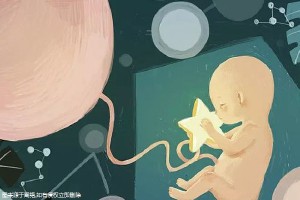 单身生育力保存